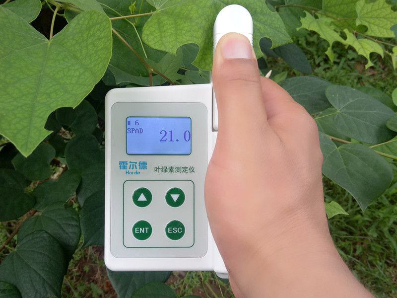 葉綠素含量測定儀具備哪些功能特點？