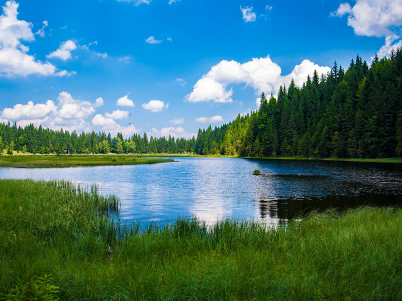 COD水質(zhì)檢測(cè)儀應(yīng)用范圍（快速COD檢測(cè)儀技術(shù)參數(shù)）