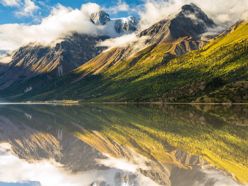 生物毒性檢測(cè)儀價(jià)格（毒性物質(zhì)的判斷標(biāo)準(zhǔn)）