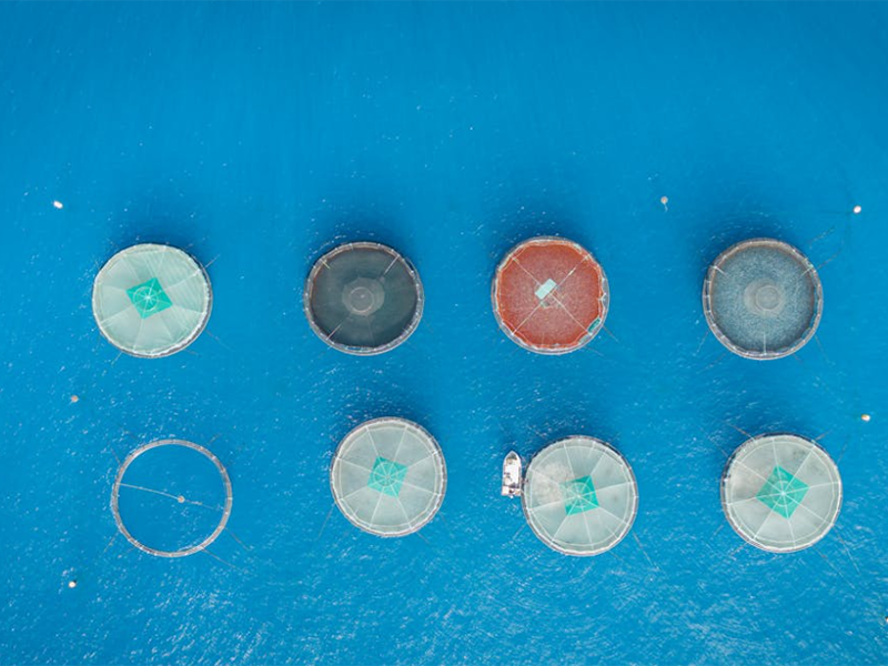 水產(chǎn)養(yǎng)殖水質(zhì)檢測儀怎么選擇(水產(chǎn)養(yǎng)殖水質(zhì)檢測儀類型特點(diǎn))