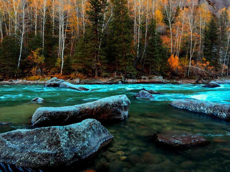 氨氮測(cè)定儀基本工作原理（氨氮測(cè)定儀類(lèi)型）