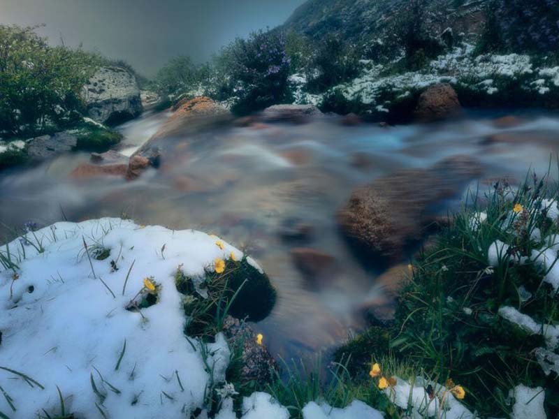 COD在污水廠的核心作用(COD的控制策略)