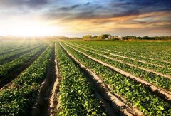 如何區(qū)分土壤肥料快速測試儀的優(yōu)缺點