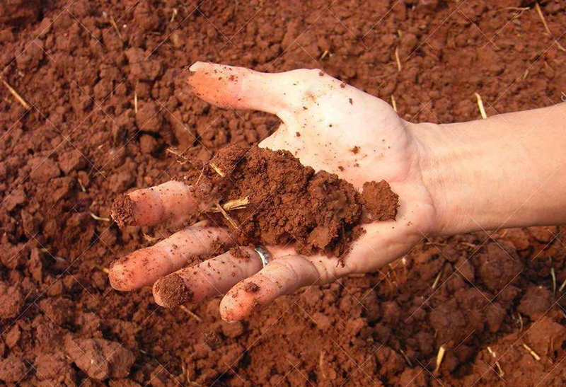 土壤墑情監(jiān)測儀